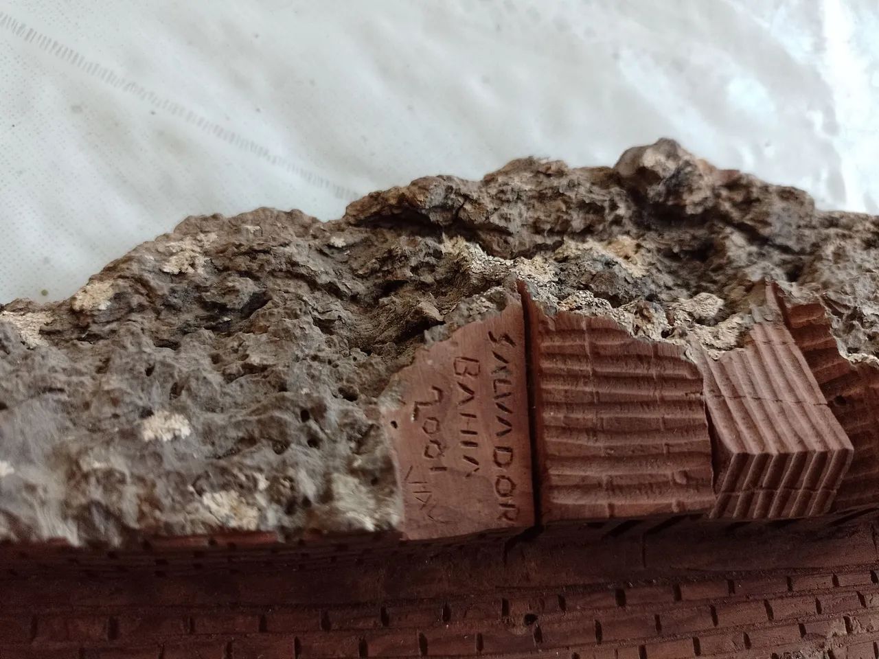 Artesanato na casca da madeira  - Foto 4