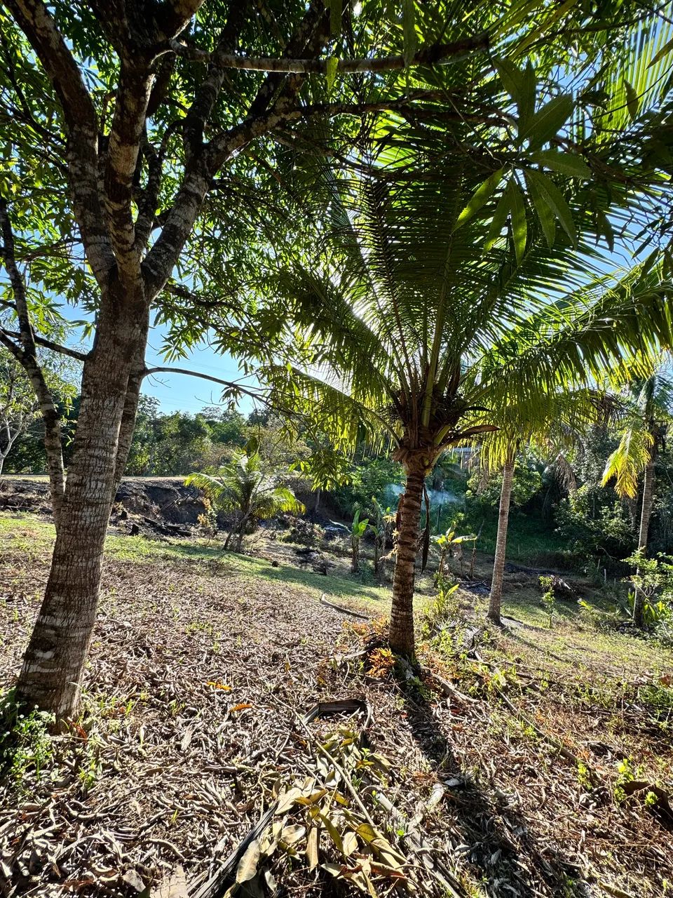 Foto - Camaçari - Barra do Pojuca (Monte Gordo)