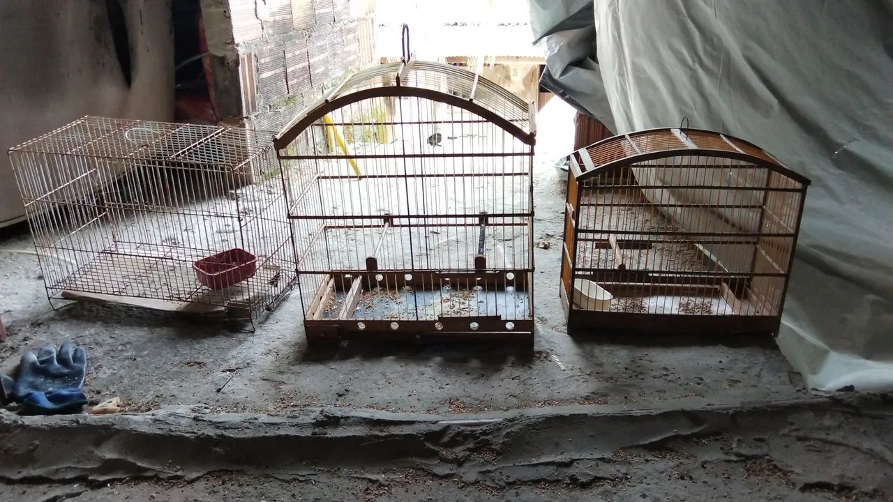 Gaiolas