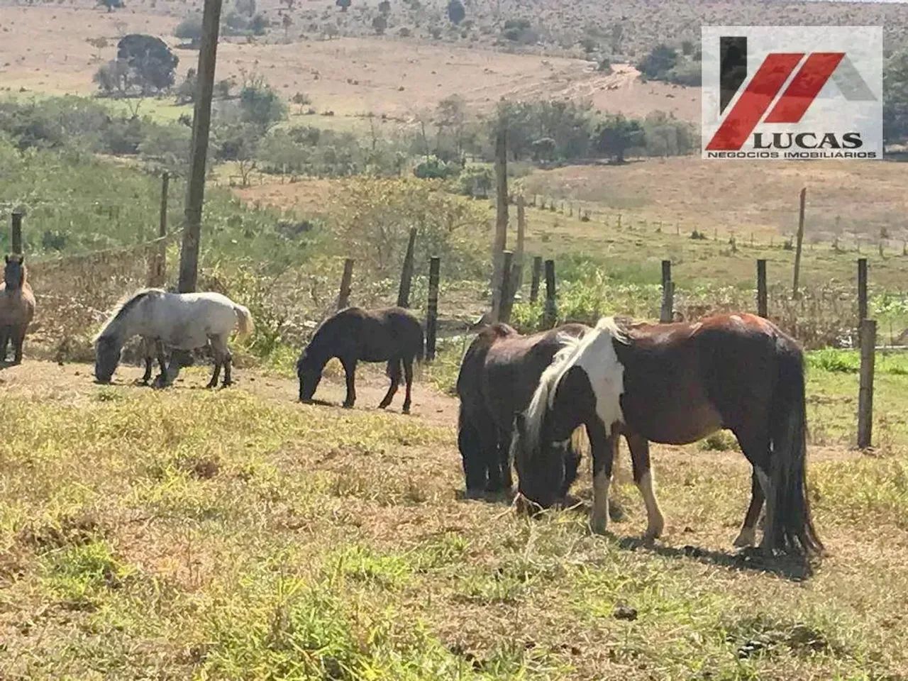 Fazenda à venda em Campinas - Foto 2