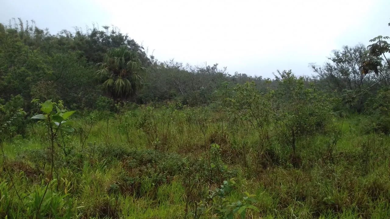 Vendo lote em Iguape !!  - Foto 4