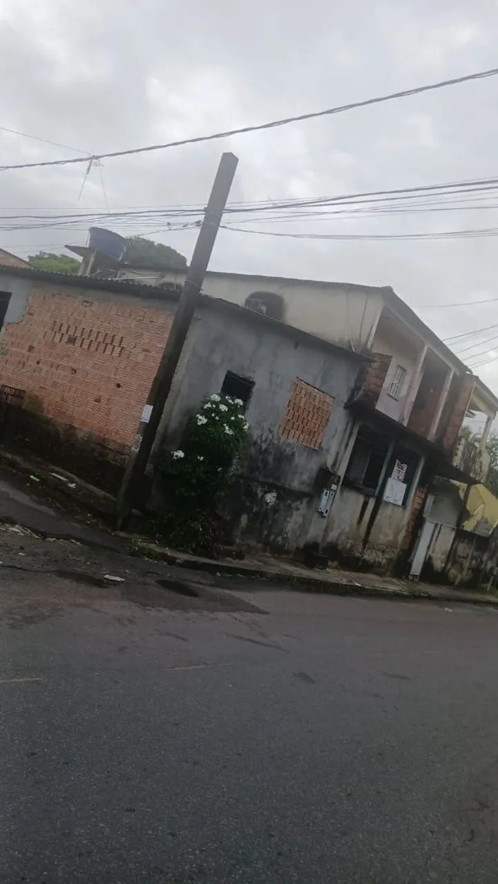 Foto - Manaus - Flores