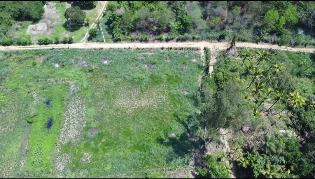 Oportunidade Única em Queimados: 45.000m² ao lado da Rod.<br><br>Pres. Dutra! - Foto 3