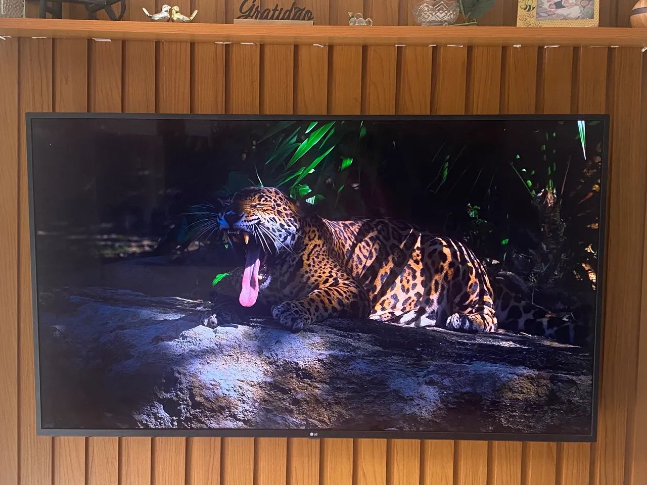 Vendo televisão LG 70 polegadas geladeira Brastemp 