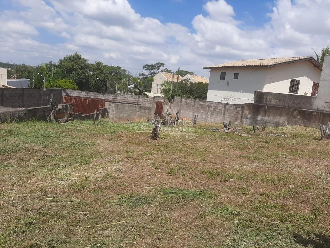 terreno - Parque São Quirino - Campinas - Foto 2