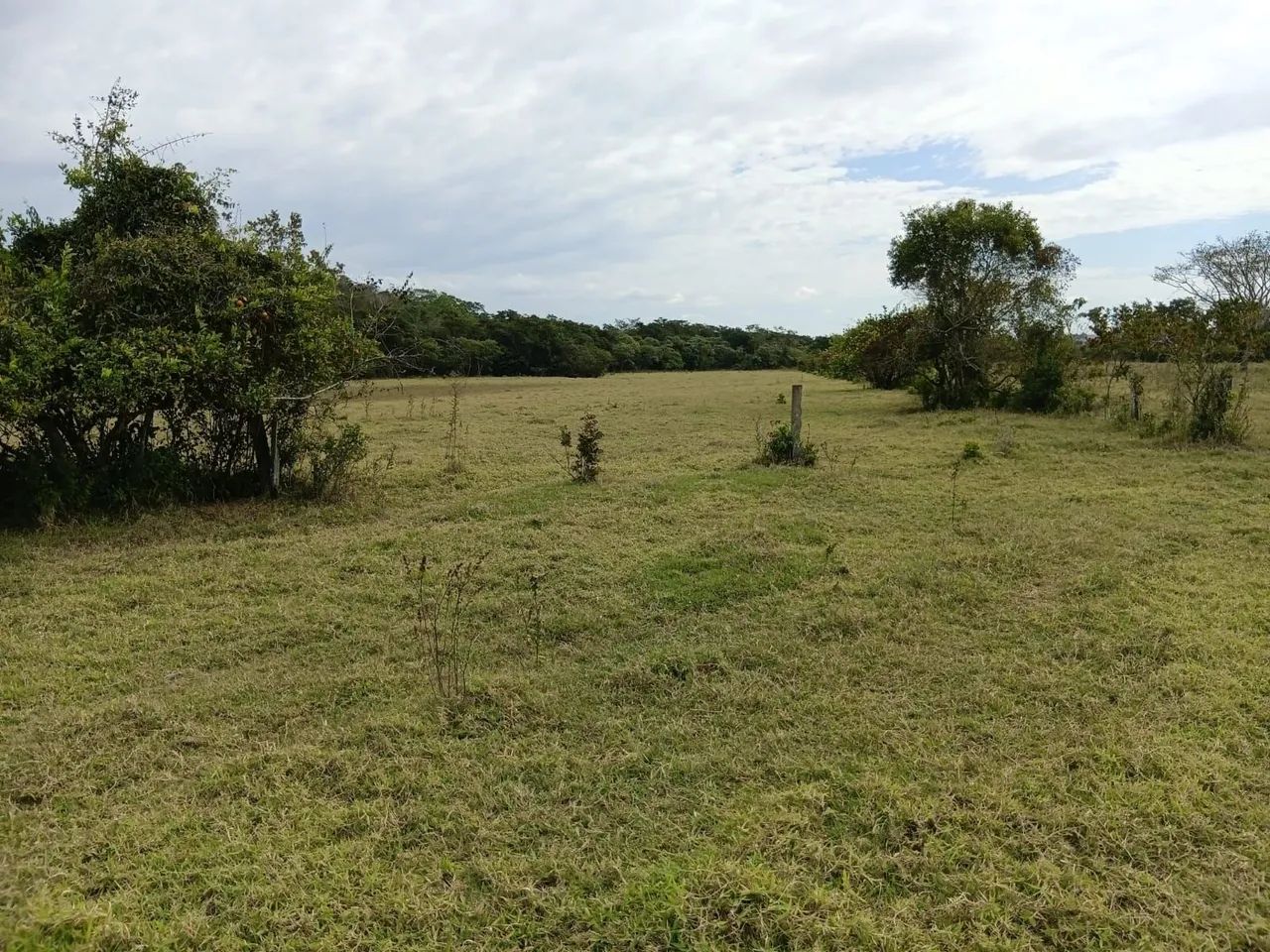 FAZENDA 53 ha EM IGUATAMA - Foto 4