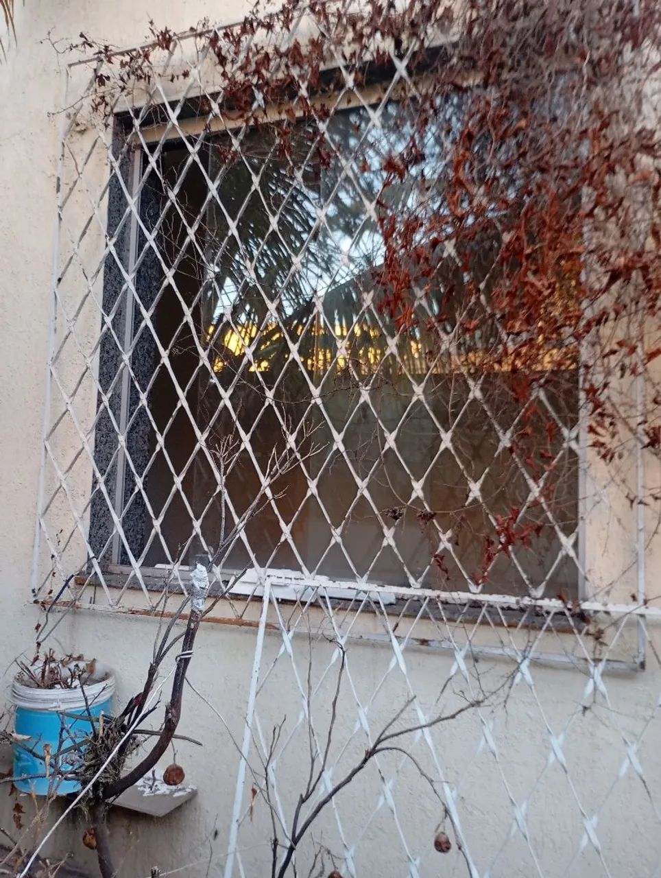 Janelas  de  vidro temperado