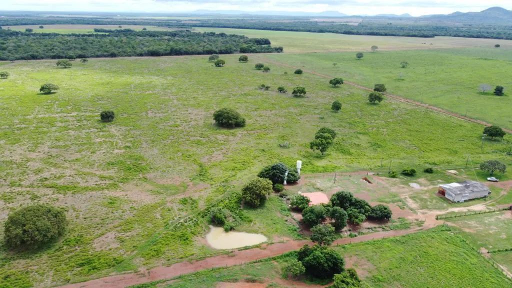Fazenda para Venda em Aliança do Tocantins, 6 dormitórios - Foto 2