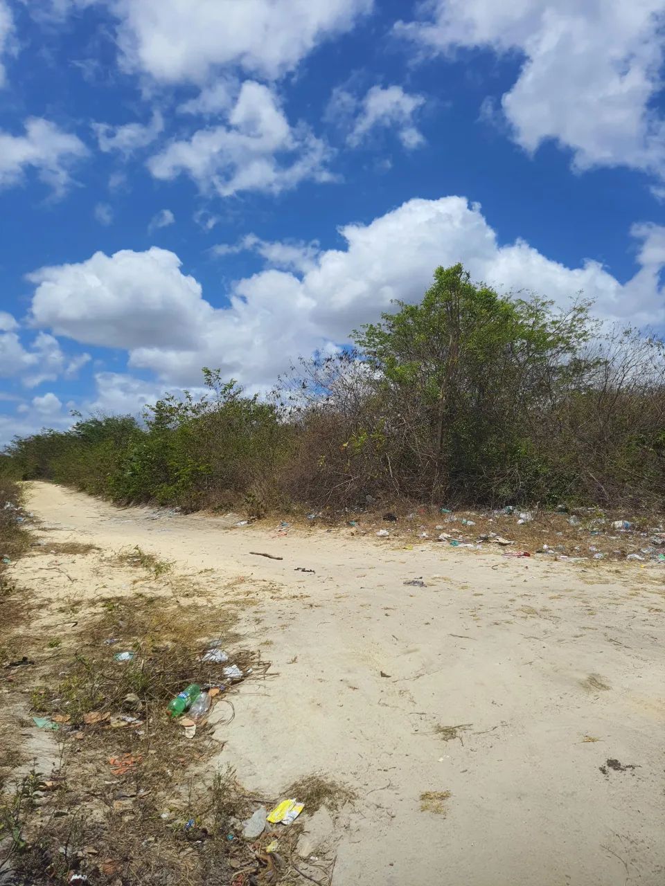Terreno Aquiraz 8hectares - Foto 4