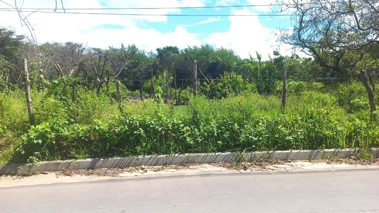 TERRENO EM BARREIRINHAS
