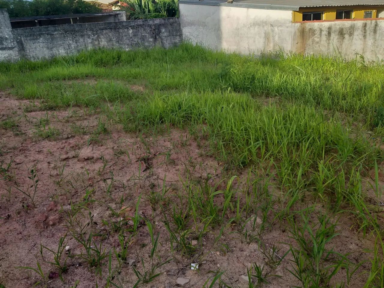 Vendo terreno na ponta da fruta  - Foto 3