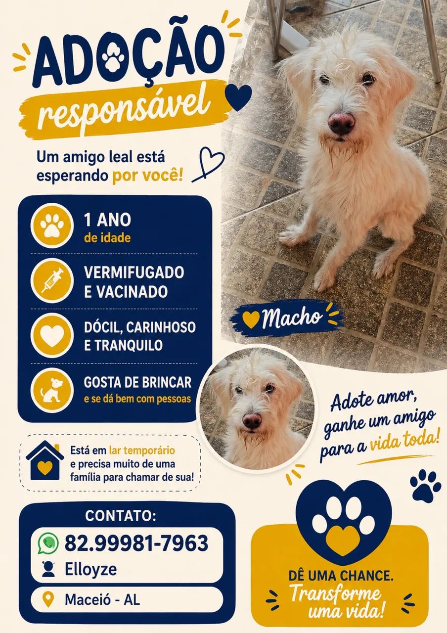 Adoção Responsável  - Foto 2