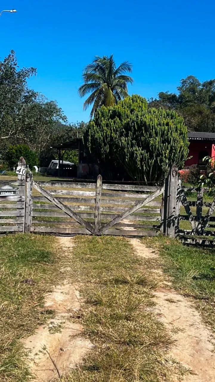 Vendo sítio em Cabuçu  - Foto 4