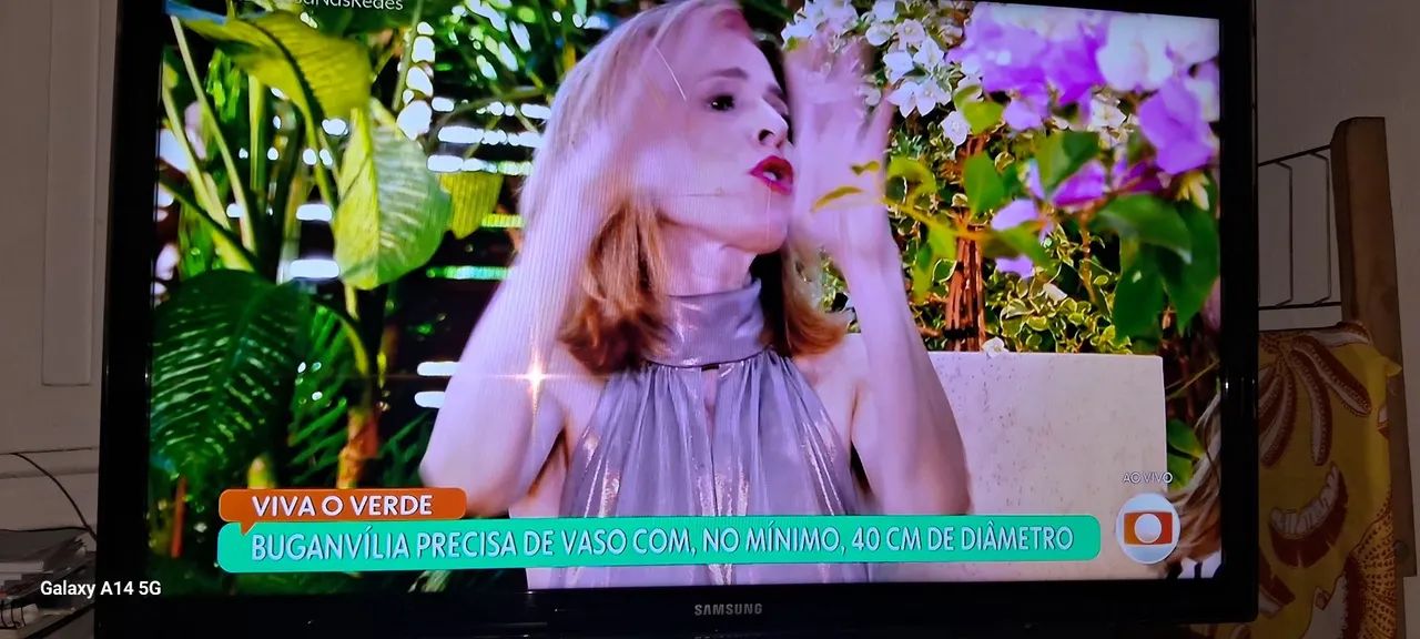 Vendo tv sansung 43pl - Foto 4