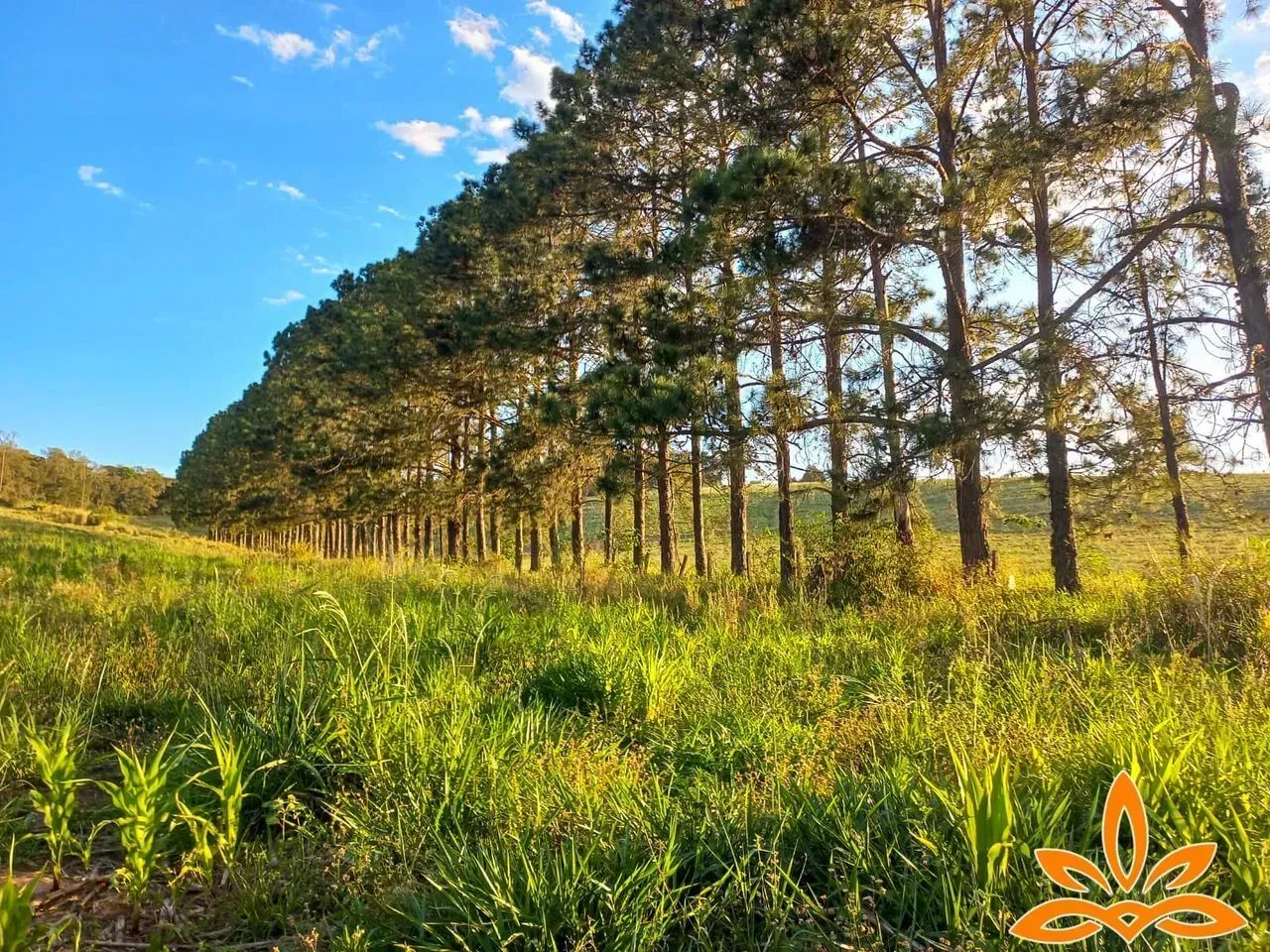 85A- TERRENOS EM ATIBAIA COM VISTA PRIVILEGIADA - Foto 4