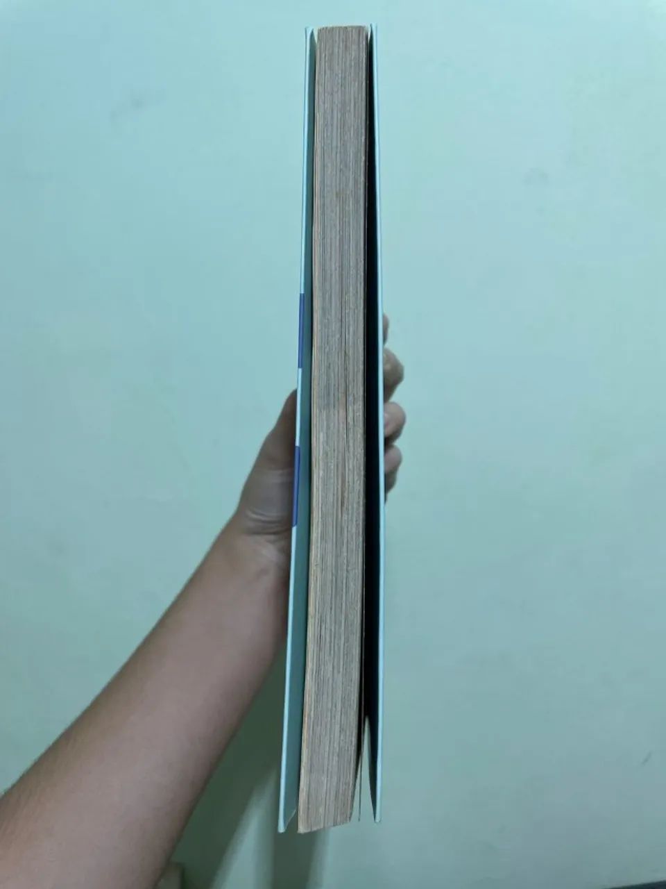 Livro Iracema - Foto 5