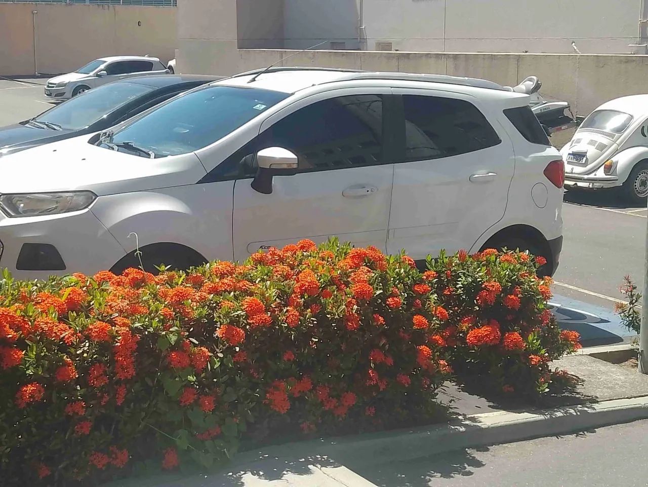 Ford Ecosport EcoSport TITANIUM 2.0 16V Flex 5p Aut. 2014