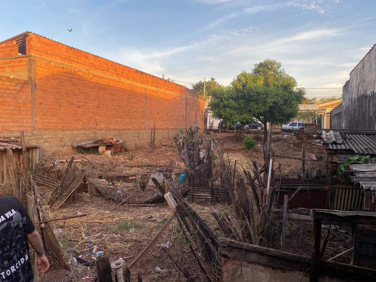 Terreno 
