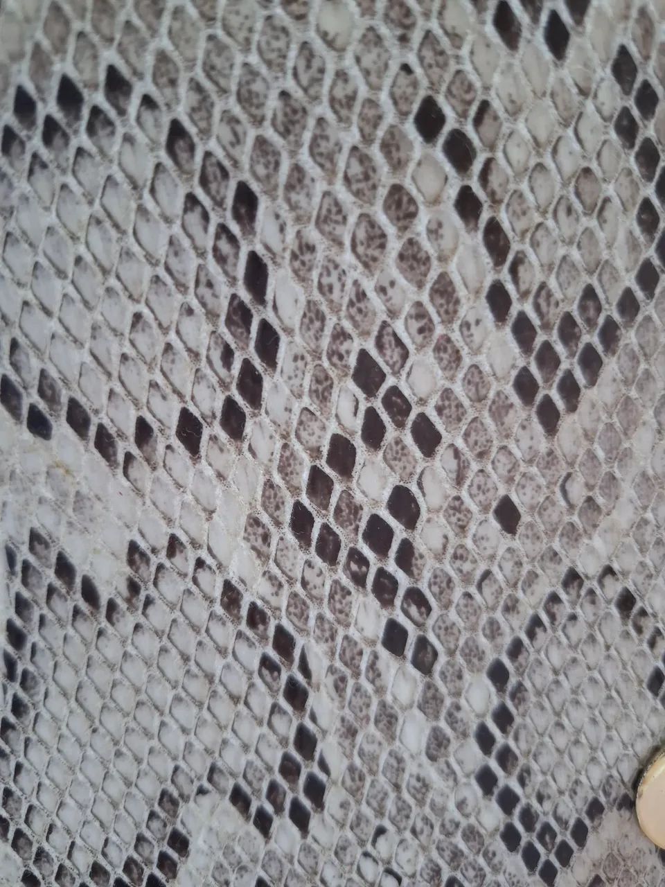 Bolsa Animal Print - Foto 4