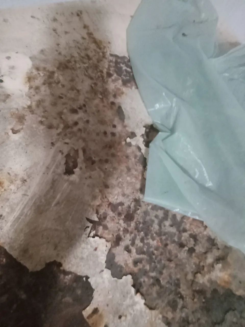 Geladeira  - Foto 4