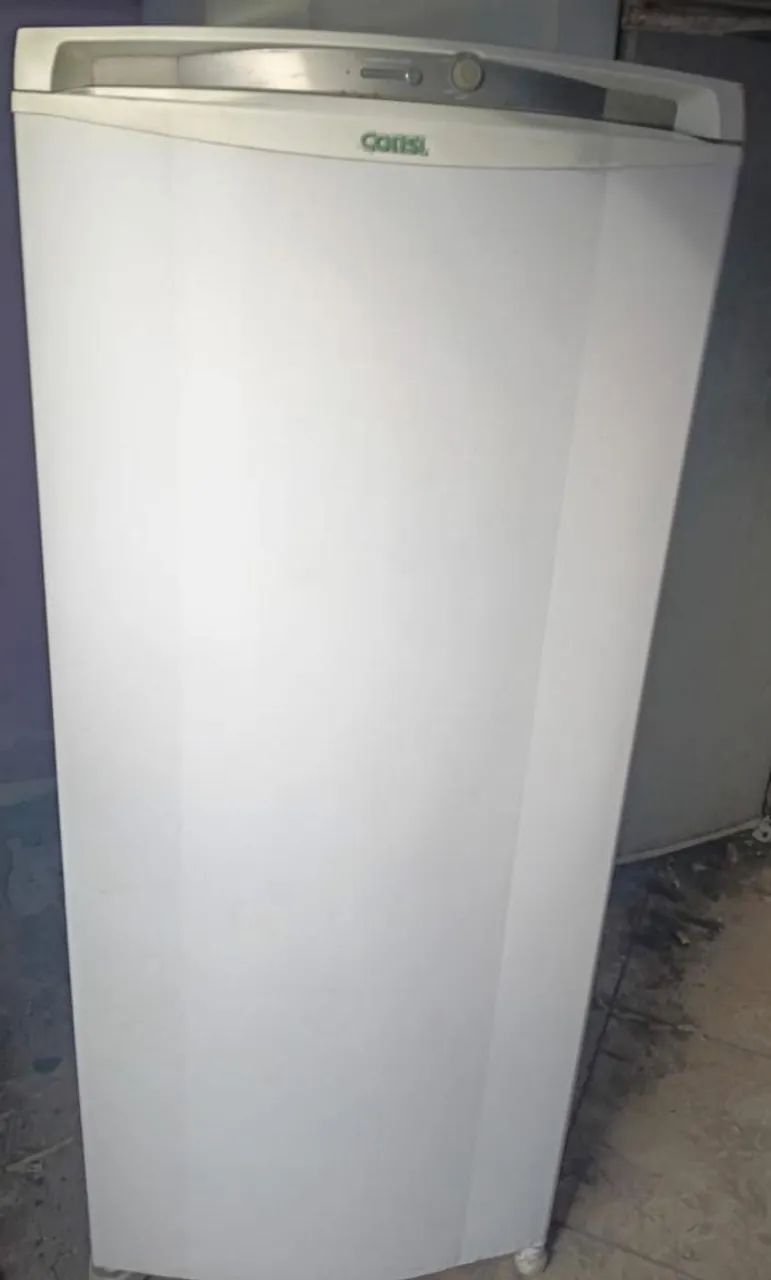 Freezer vertical