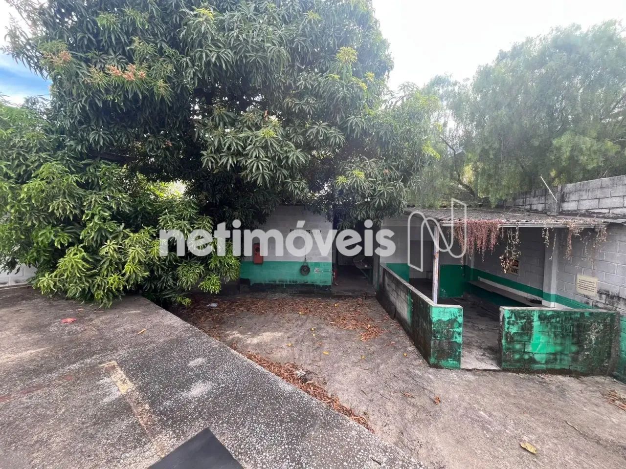 Lote de 1000m²; à venda no Bairro Santa Cruz - Foto 4