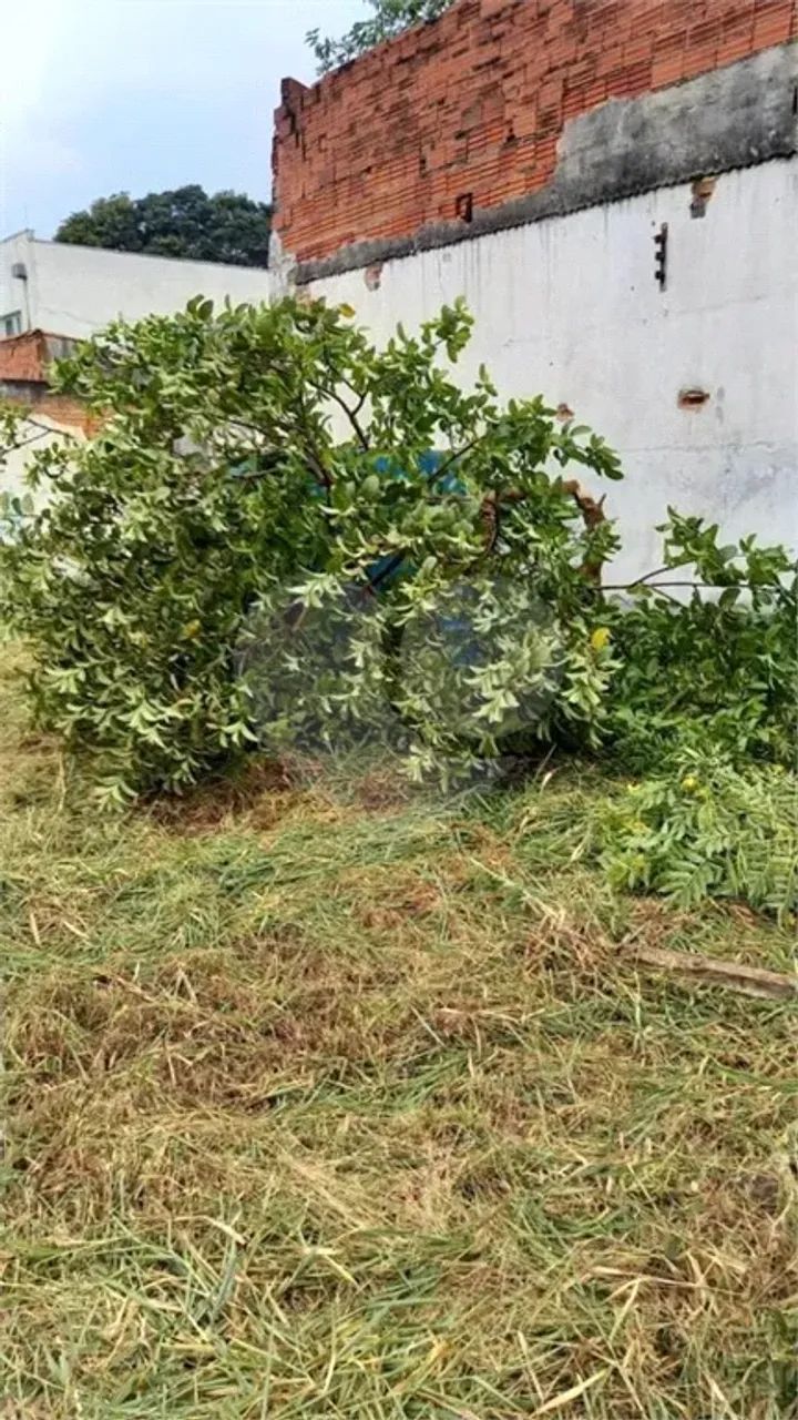 Terreno à venda em Vila gustavo - SP - Foto 5