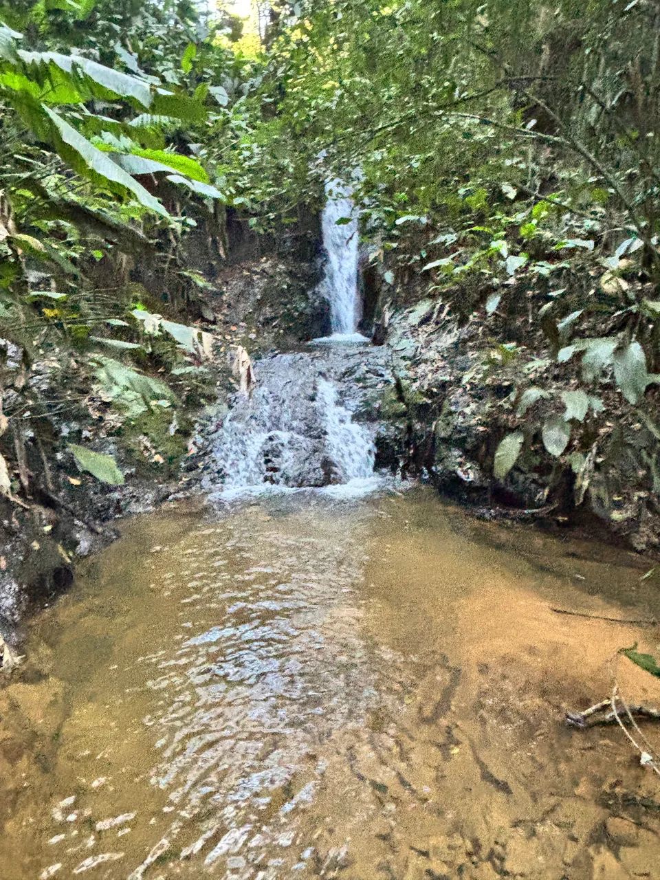 2 HECTARES COM CACHOEIRA! AO LADO DA FLUSS HAUS - Foto 2