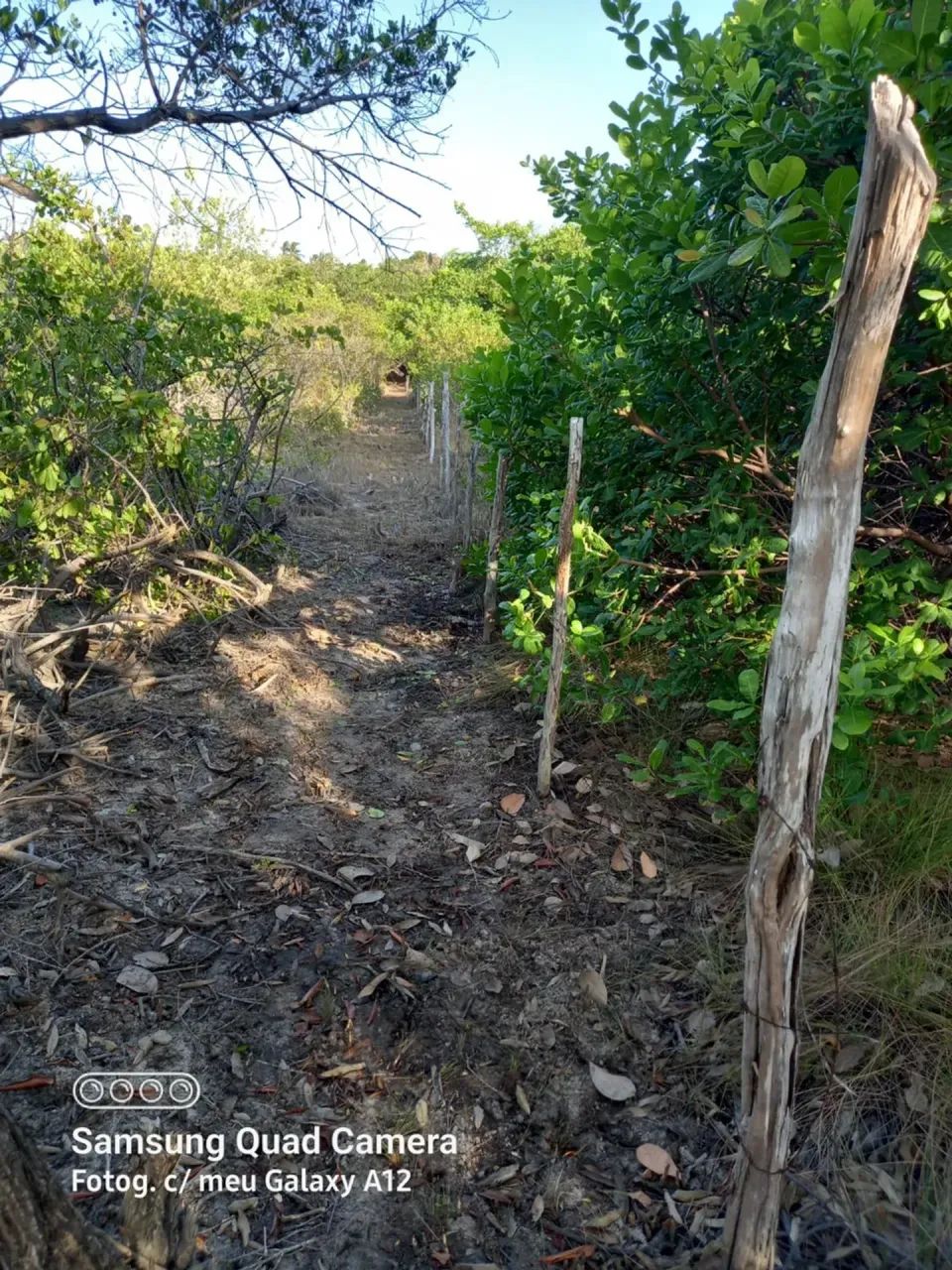 PANAQUATIRA: Terreno a prazo de 52 mil m2 a venda  Ilha de São Luis-MA - Foto 10