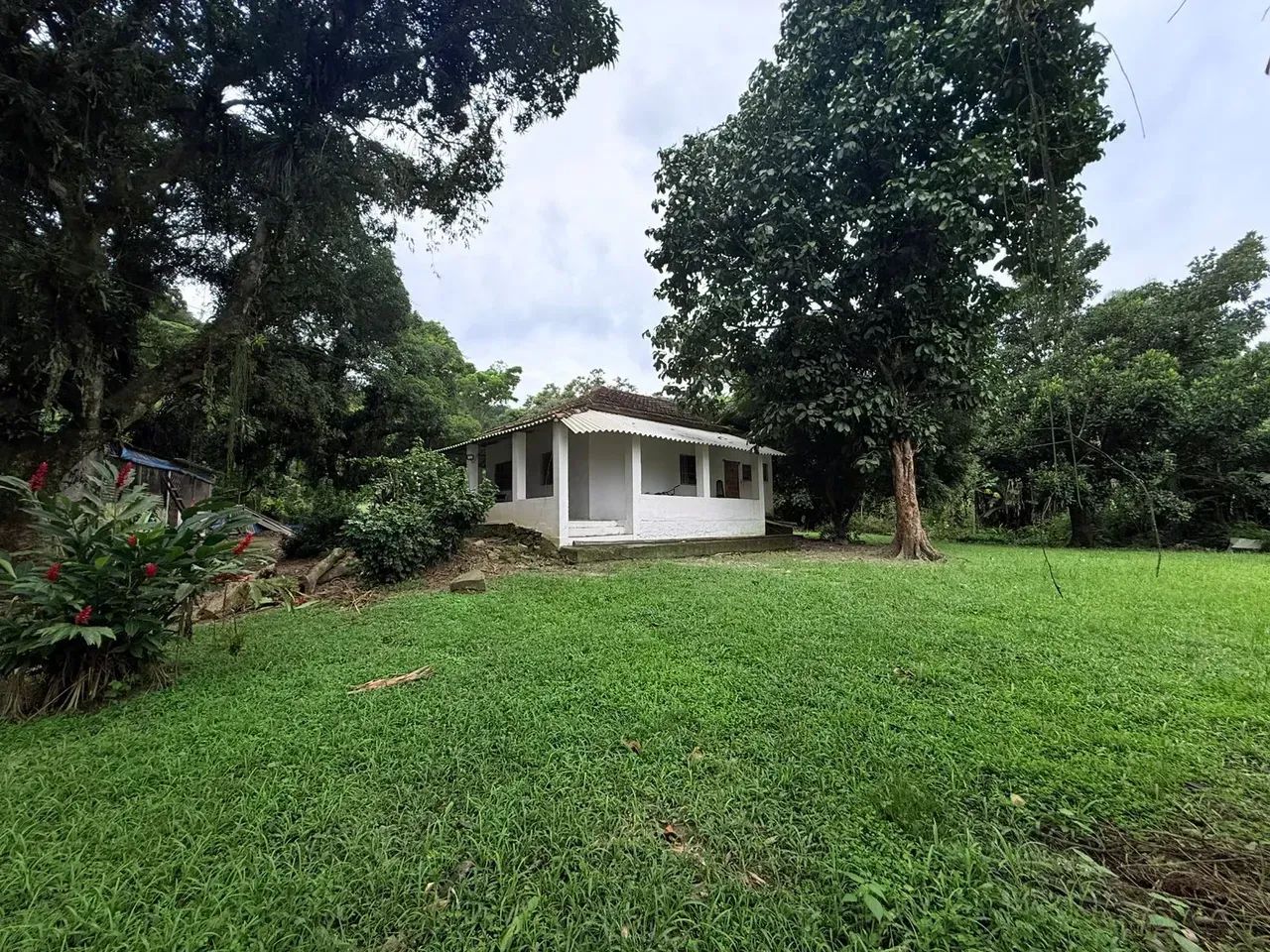 FAZENDINHA 300.000m² Guapimirim - Foto 4