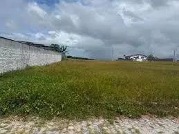 Terreno, Casa e Outros - Foto 4