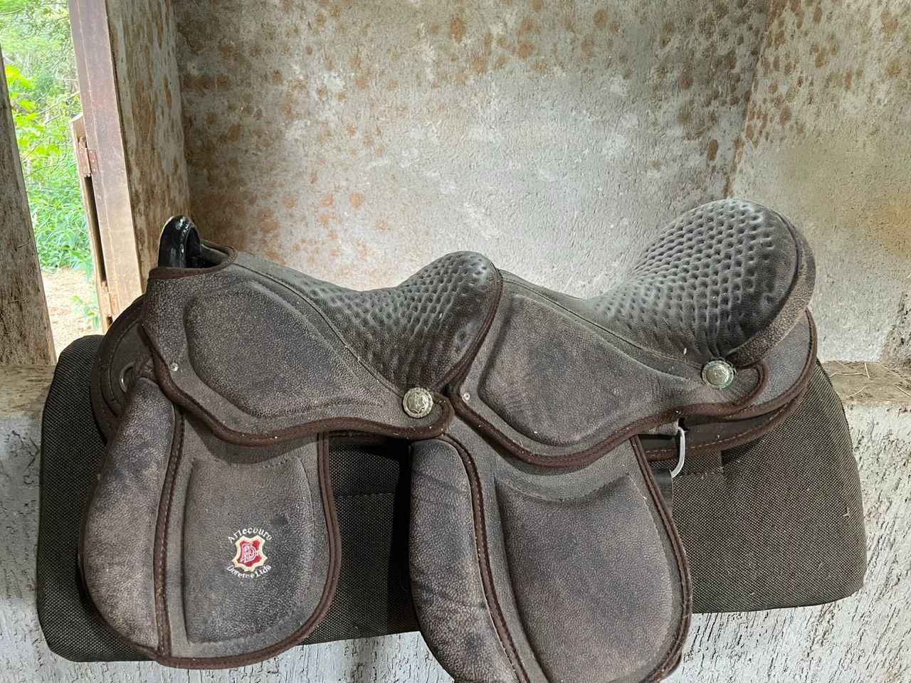 Sela australiana dupla, adulto e criança! - Foto 2