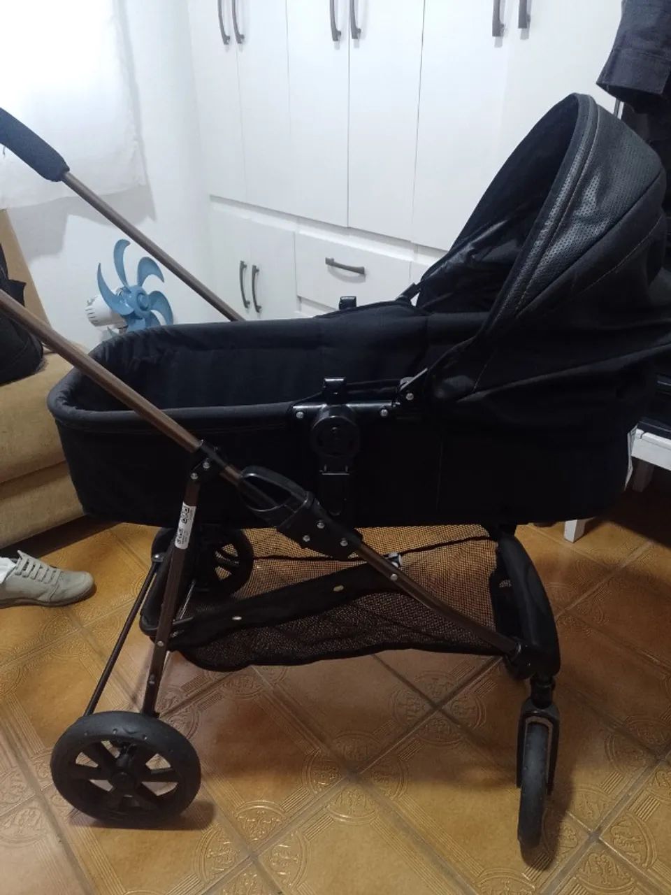 Carrinho Galzerano Moisés e passeio 