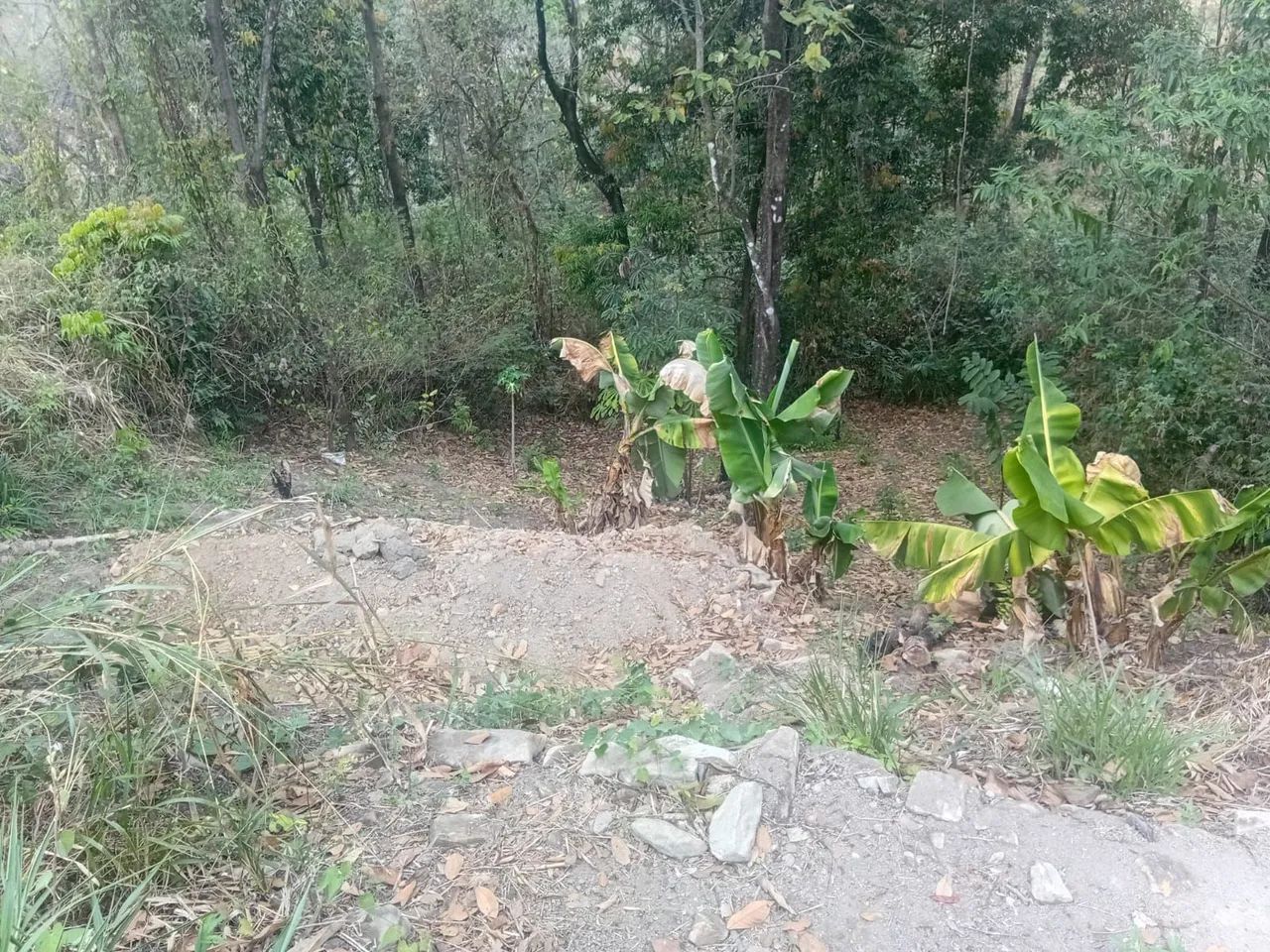 Terreno preço abaixo do mercado - Foto 2