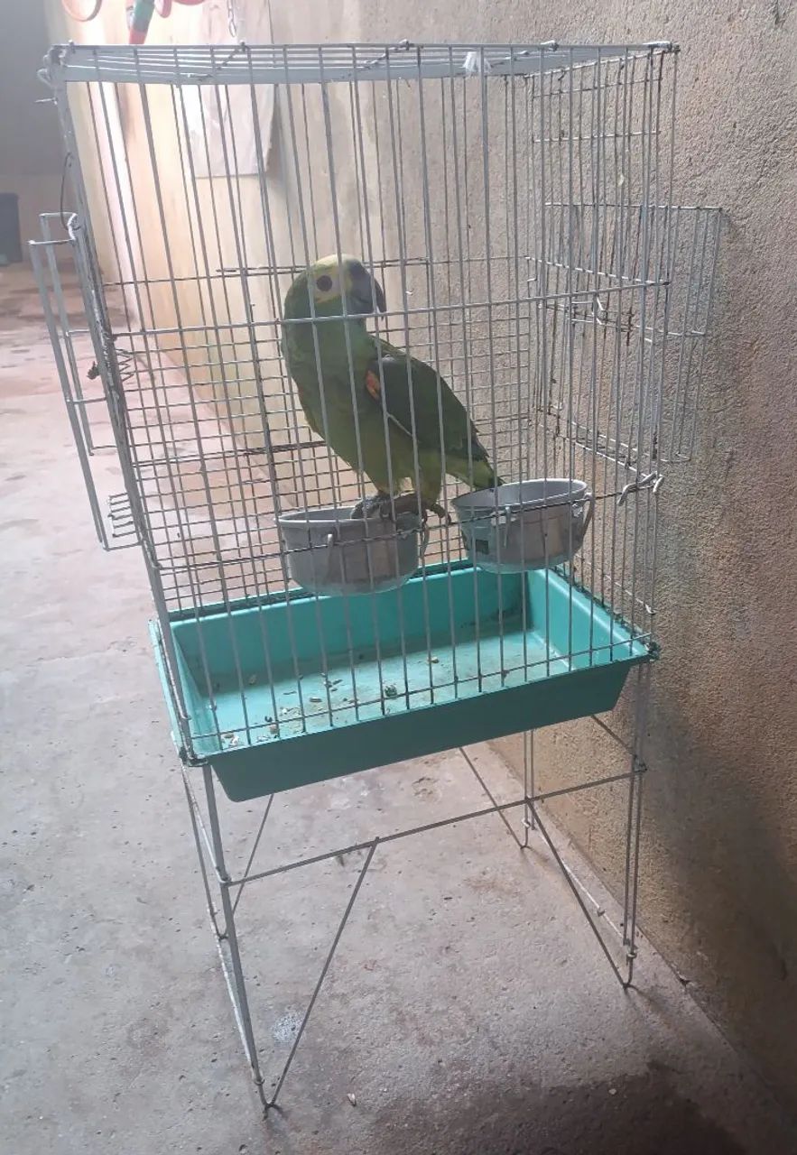 Gaiola  - Foto 2