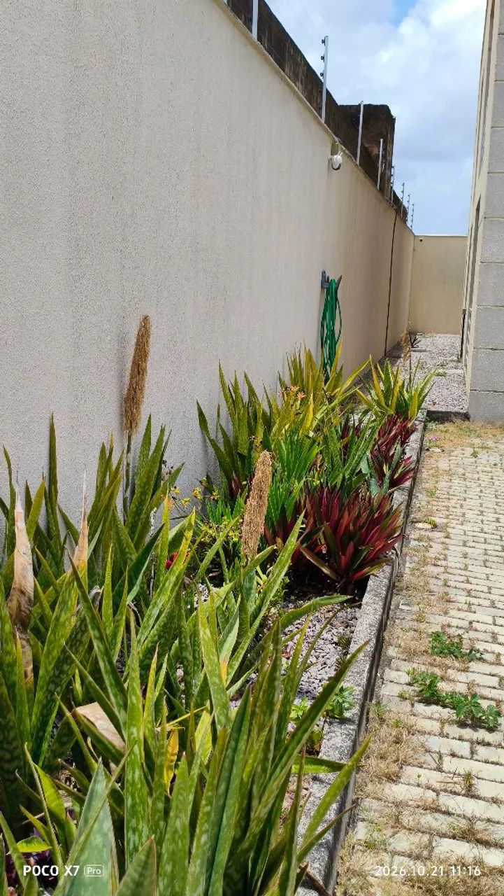 *Título Sugerido para o Anúncio:* - Foto 3