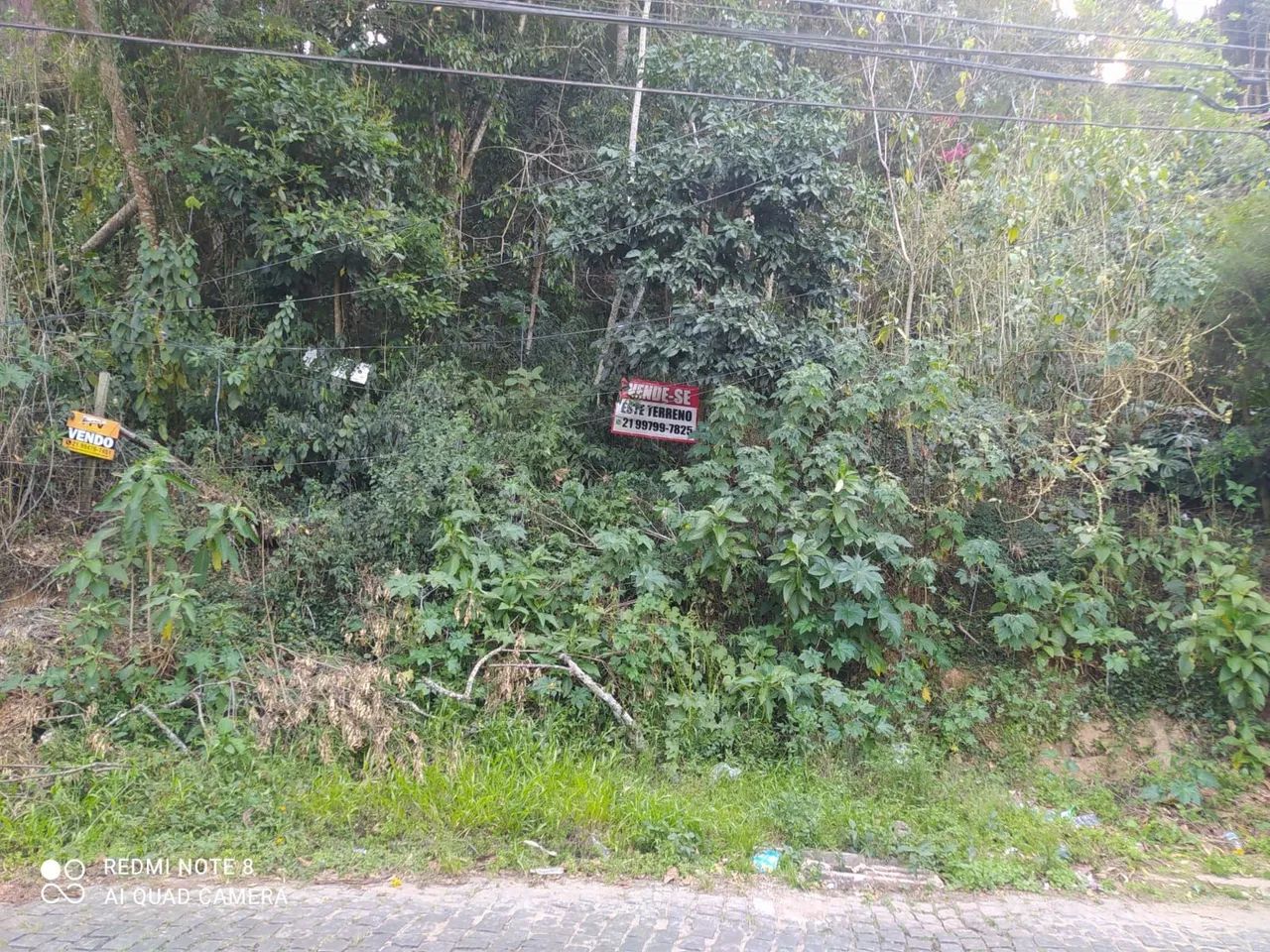 Foto - Teresópolis - Panorama