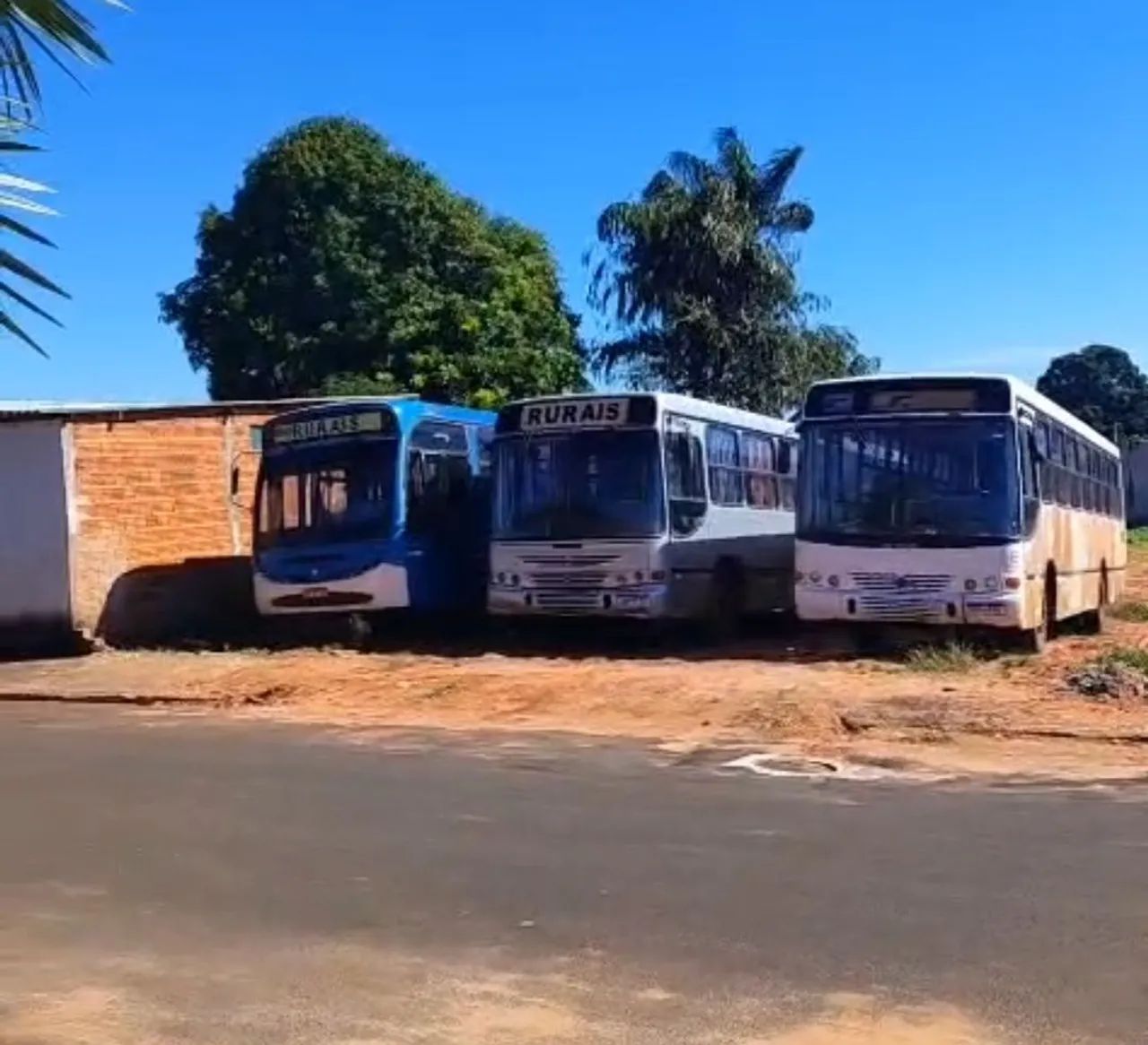 Vendo Ônibus 