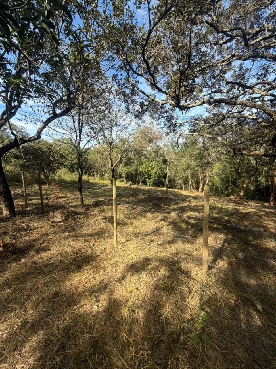 Loteamentos - Foto 4