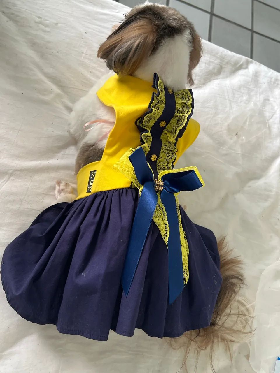 Roupas e acessorios pet - Foto 2