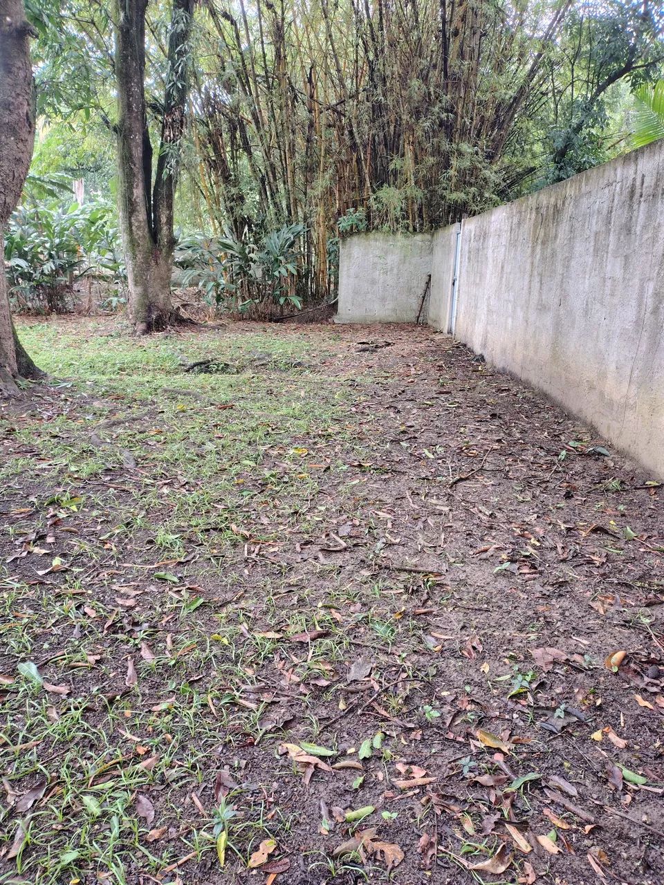 Terreno Plano  - Foto 2