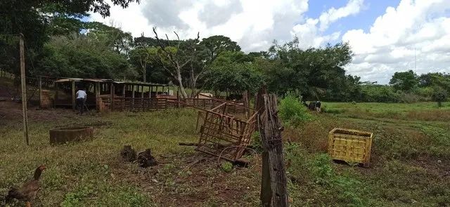 Chácara 42.000 metros Chácara Recreio Samabaia - Foto 2