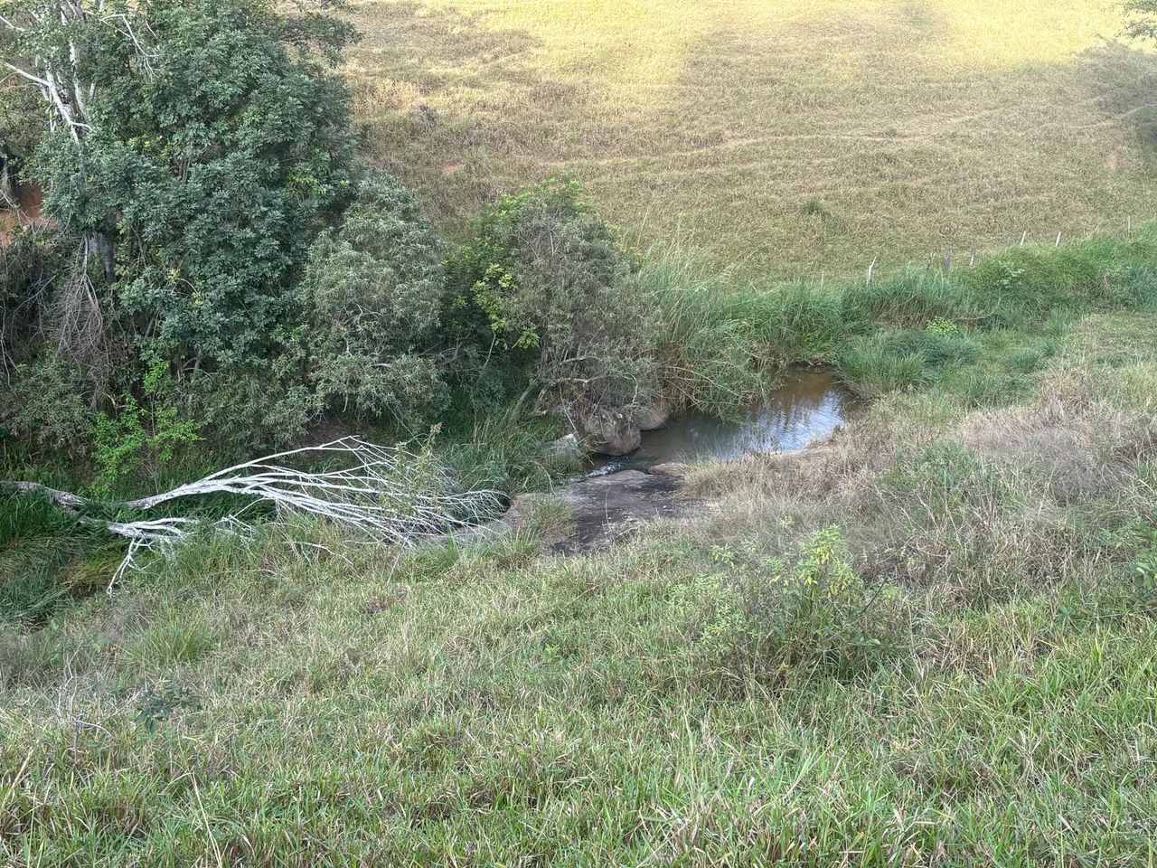 Vendo terreno em pendanga  - Foto 3