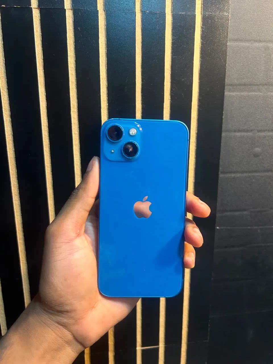 IPHONE 13 (256Gb)