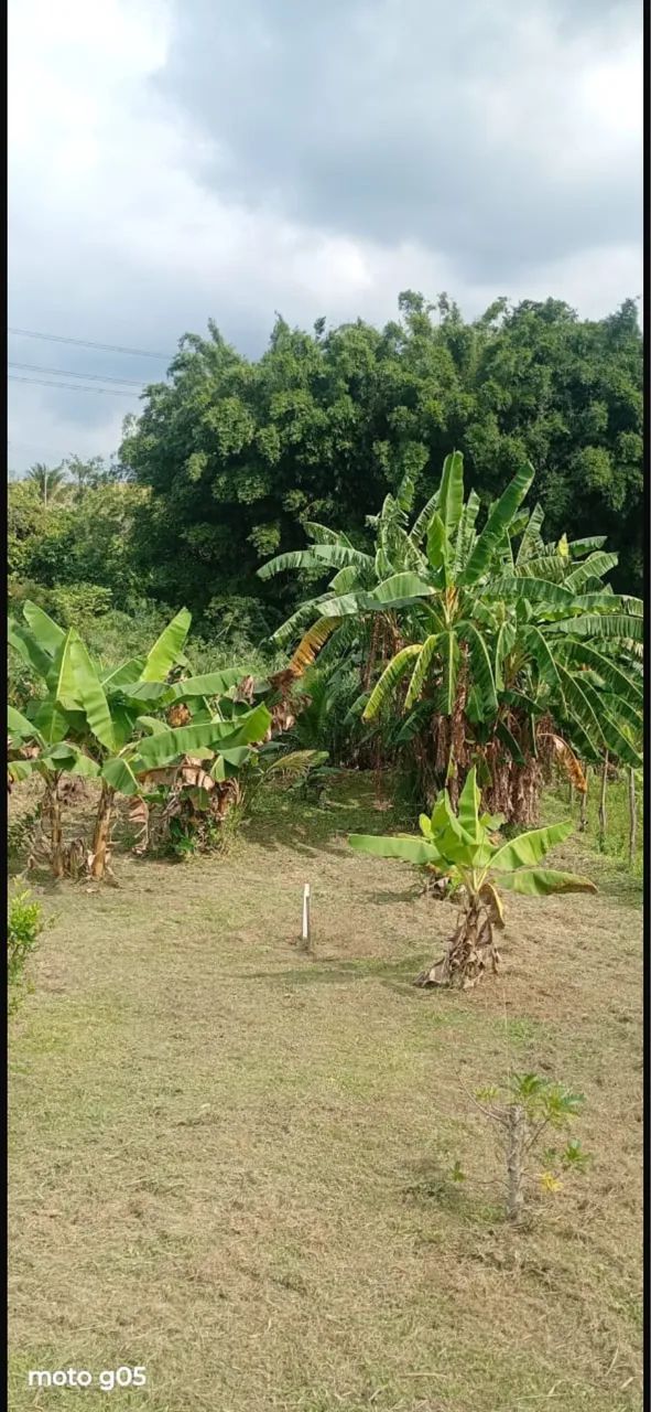 Vendo terreno 1.800mt Seropedica - Foto 3