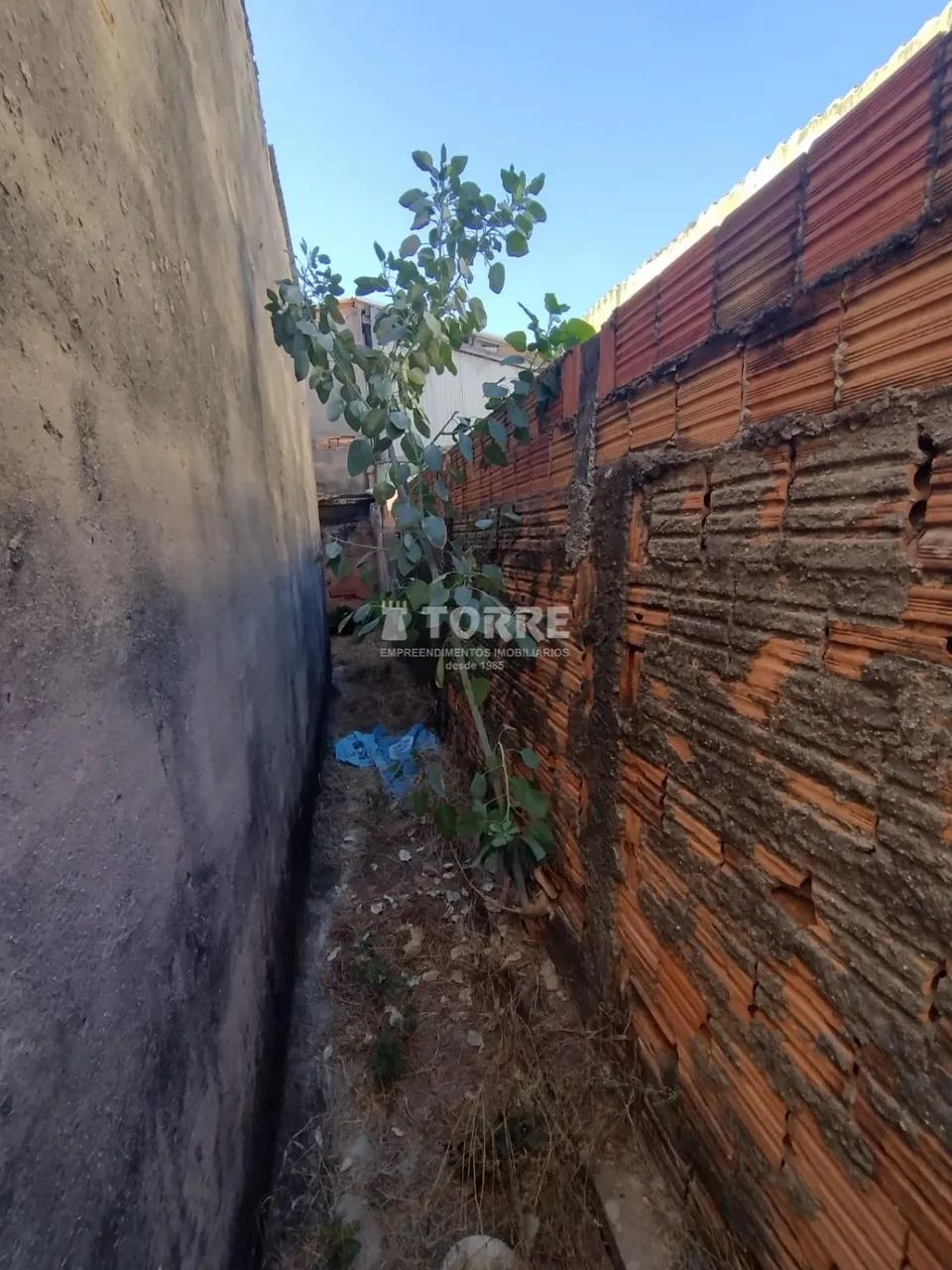 terreno - Jardim Campos Elíseos - Campinas - Foto 3