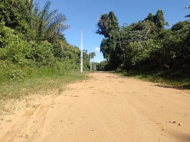 Terrenos para Chácaras Rústica de fundos para Rio Negro - Foto 2