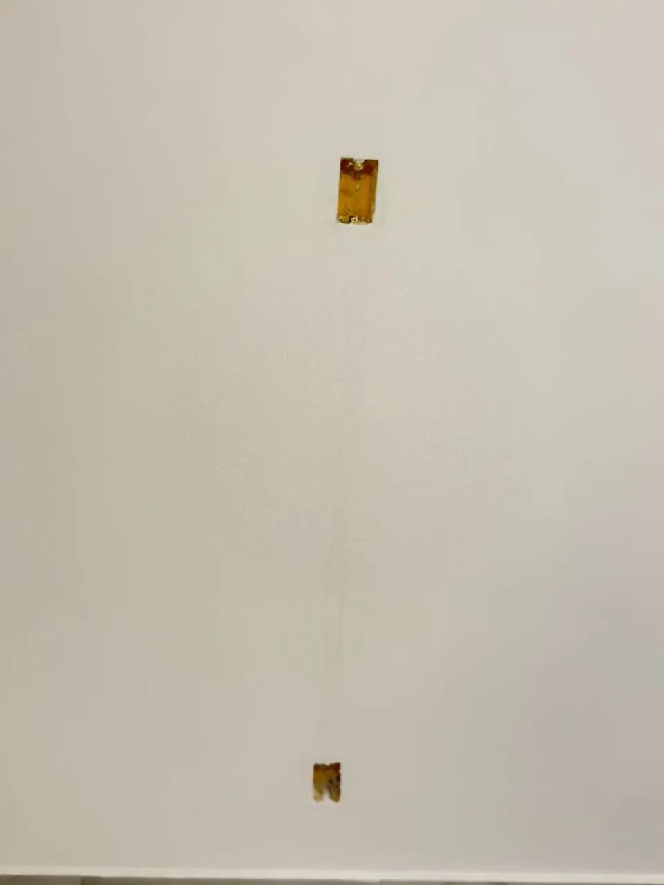 Pintor  - Foto 3