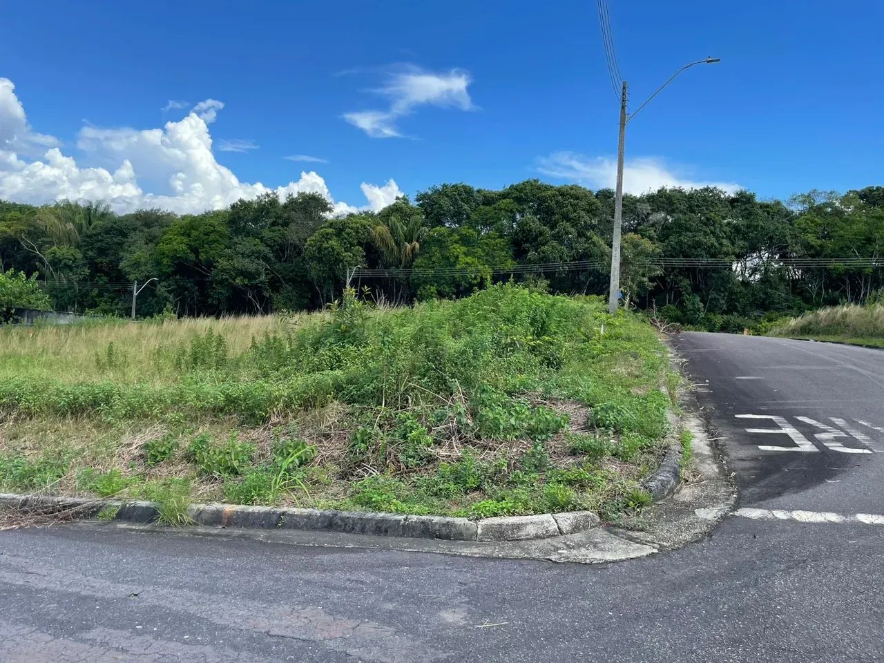 .  RESIDÊNCIAL AMAZONAS 1 - Foto 3