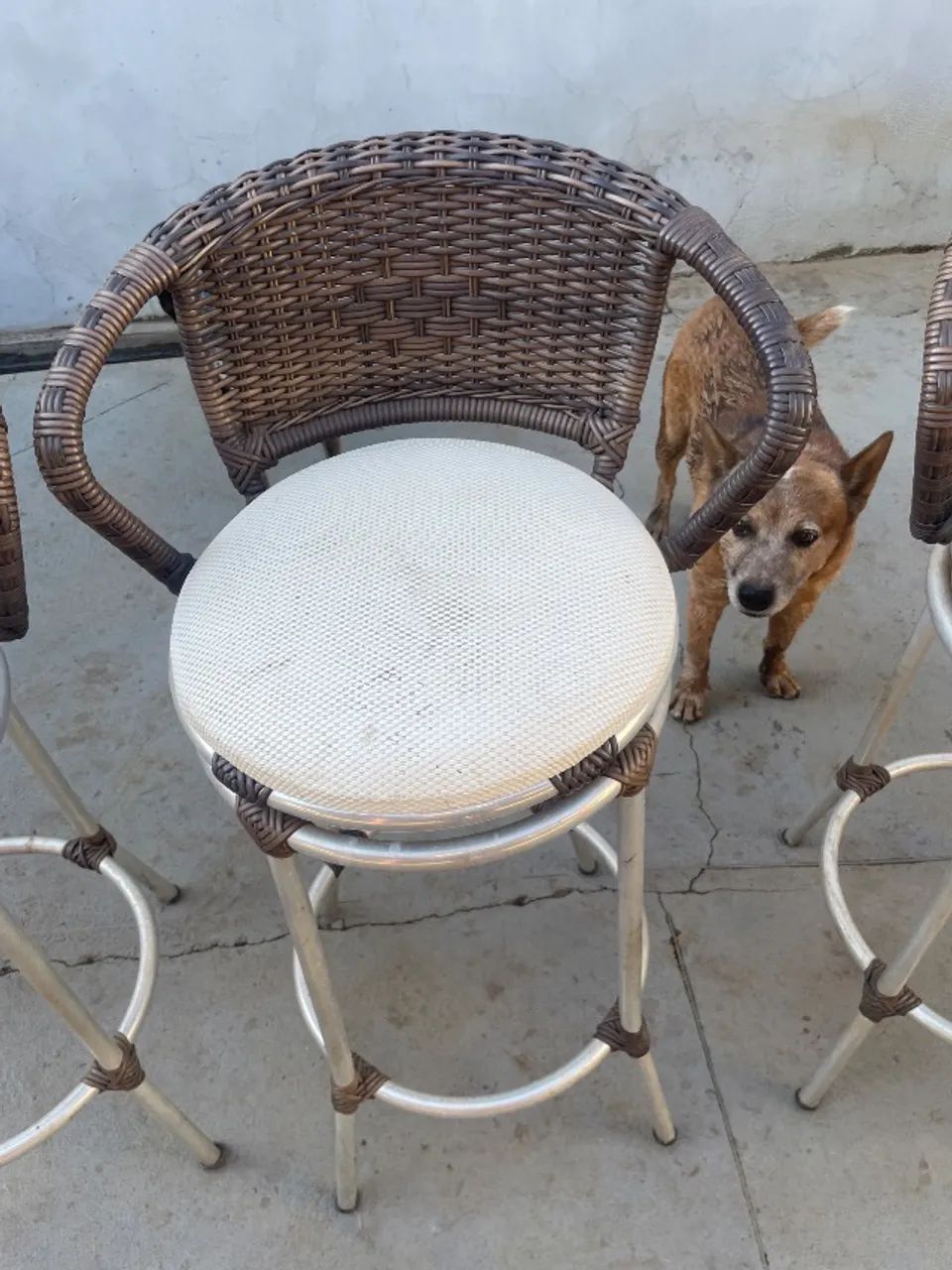 Banqueta alta  - Foto 2